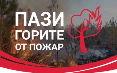 Осигуряване на пожарната безопасност, предотвратяването и гасенето на пожари в горските територии.